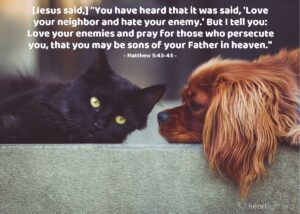 Bible Verses About Neighbor
