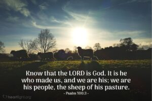 Bible Verses About Purpose