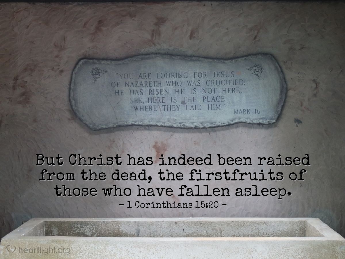 Bible Verses About Resurrection 