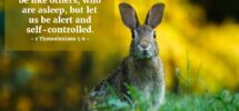 Bible Verses About Self control