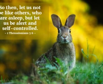 Bible Verses About Self control