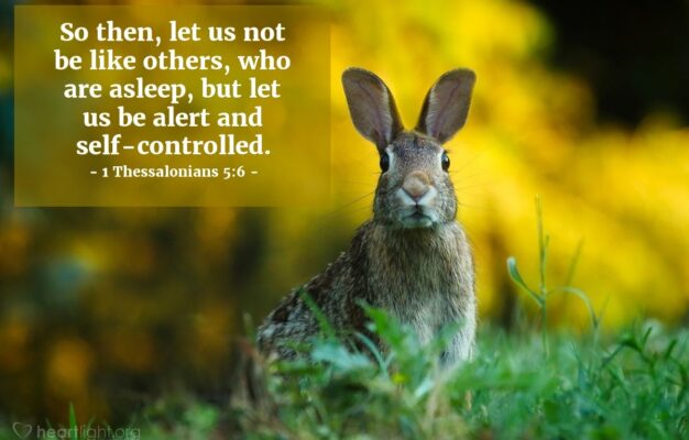 Bible Verses About Self control