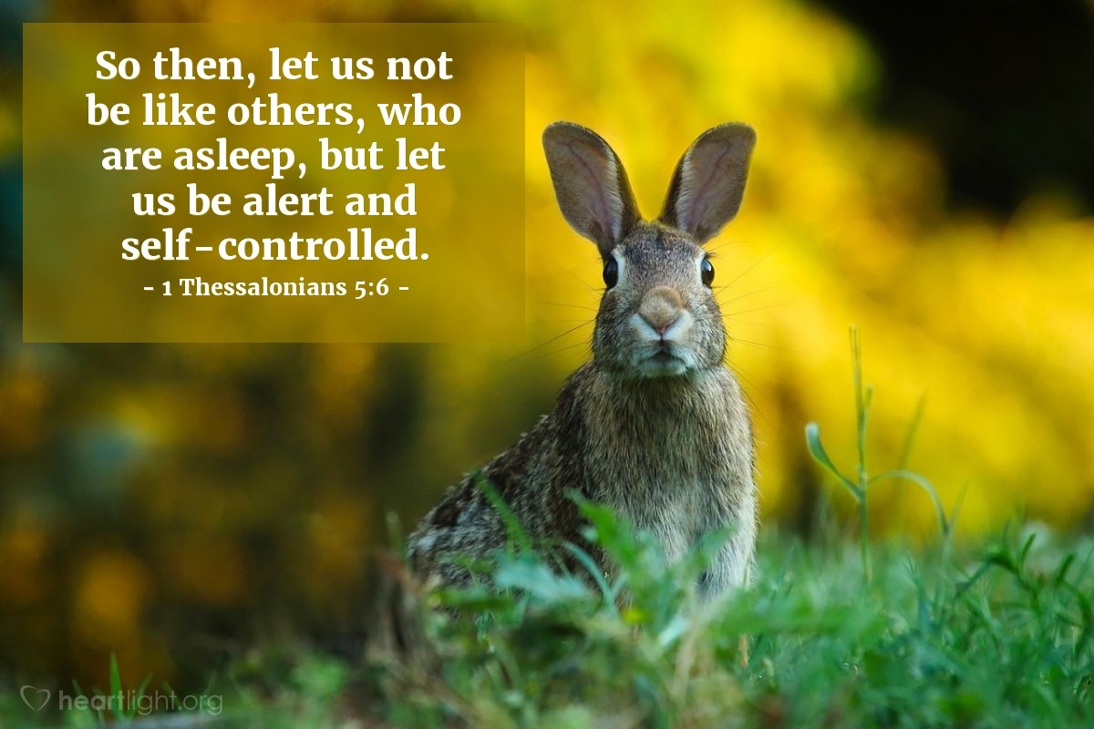 Bible Verses About Self control 