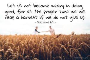 Bible Verses About Service