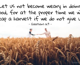 Bible Verses About Service