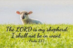 Bible Verses About Shepherd