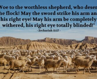 Bible Verses About Shepherd