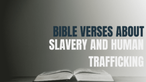 Bible Verses About Slavery And Human Trafficking Focus On The Family
