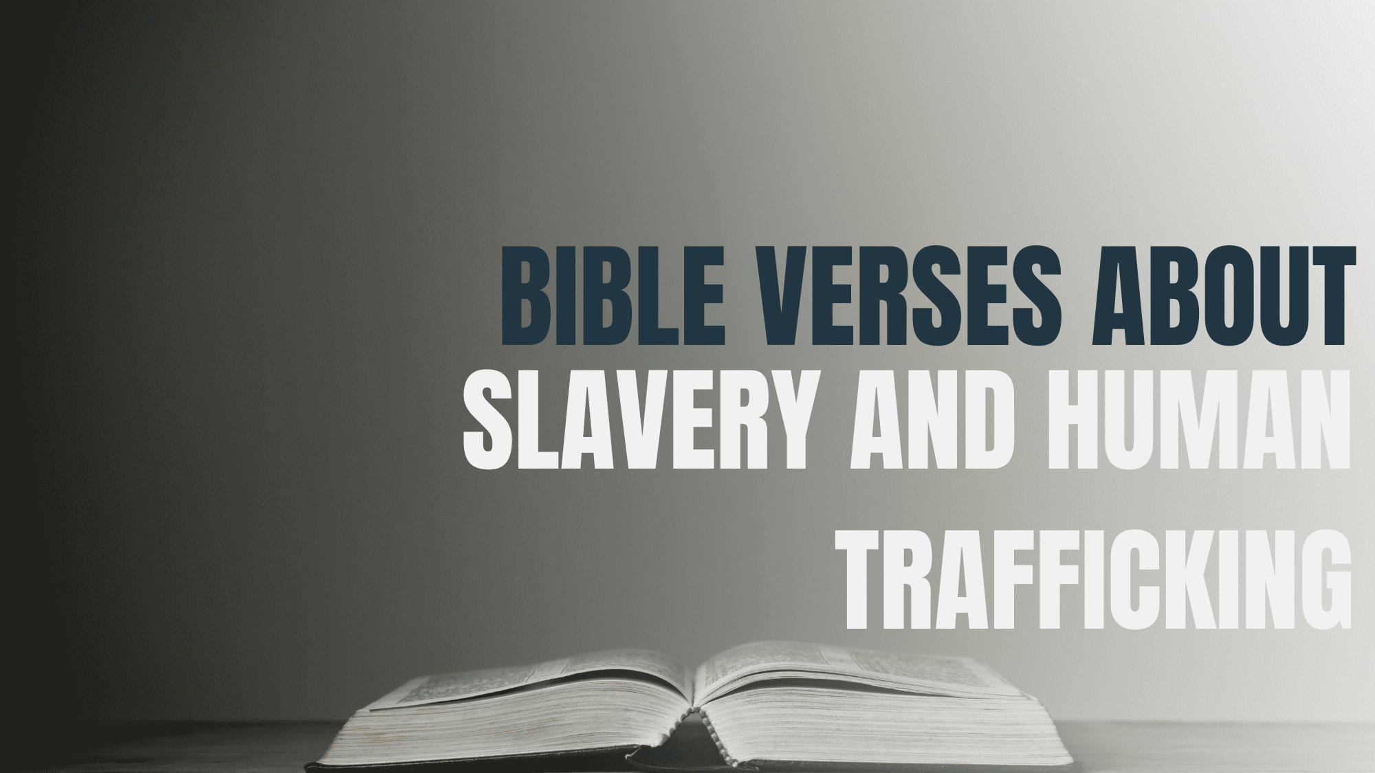 Bible Verses About Slavery And Human Trafficking Focus On The Family