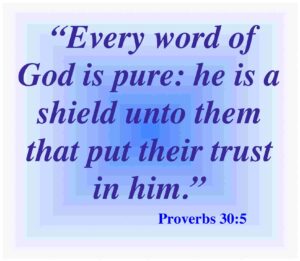 Bible Verses About Trust 20 Helpful Scripture Quotes