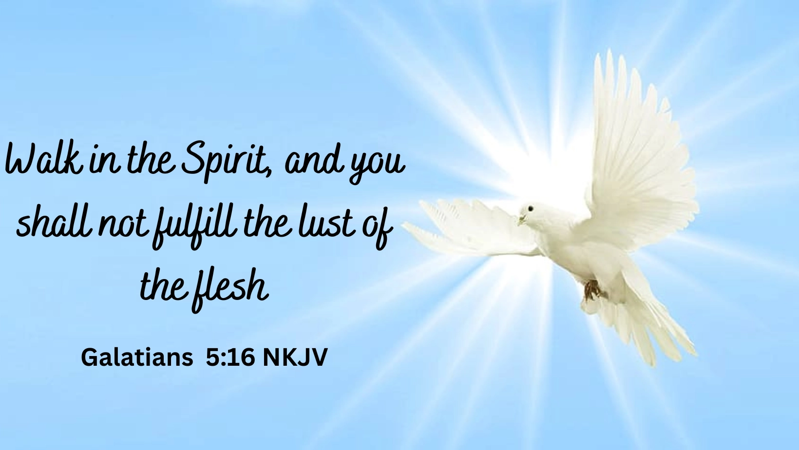 Bible Quotes About The Holy Spirit