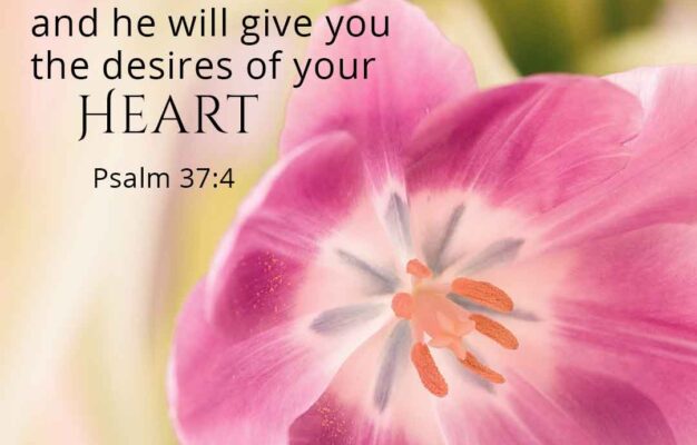Bible Verses Inspirational Acuities