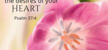 Bible Verses Inspirational Acuities