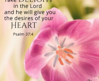 Bible Verses Inspirational Acuities