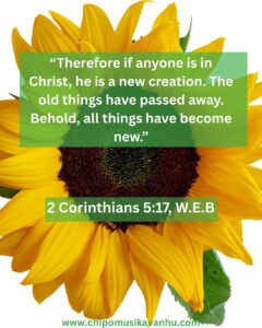 Bible Verses On New Beginnings Embracing God s Fresh Start Chipo Musikavanhu