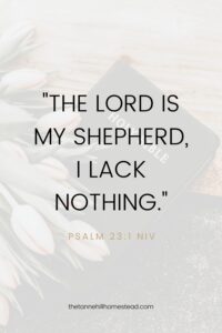 Biblical Minimalism 10 Bible Verses About Contentment