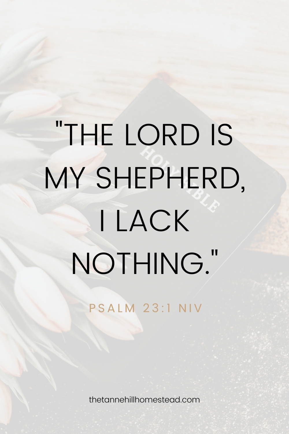 Biblical Minimalism 10 Bible Verses About Contentment