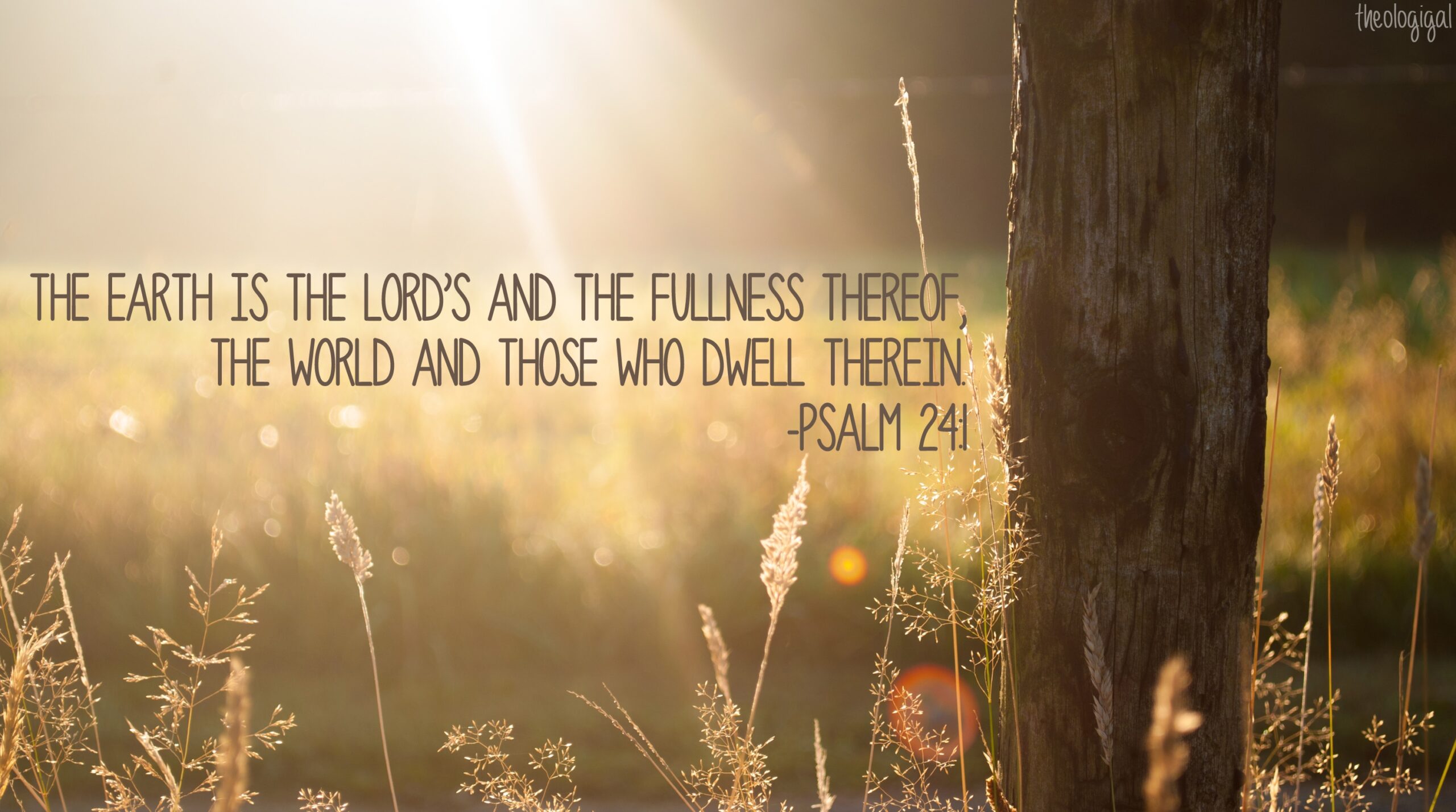 Stewards Of The Earth Bible Quote
