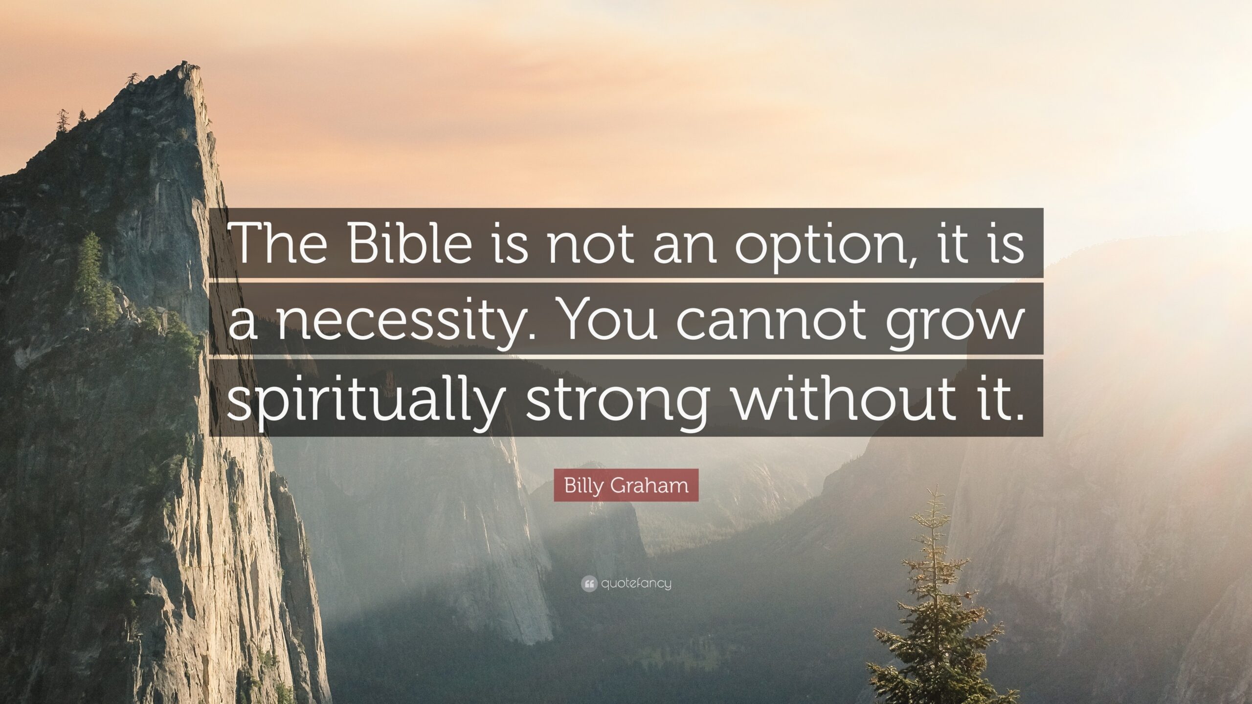 Billy Graham Quote The Bible Is Not An Option It Is A Necessity You Cannot Grow