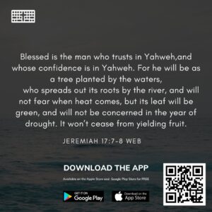 Blessed Is The Man Who Trusts In Yahweh and Whose Confidence Is In Yahweh Jeremiah 17 7 8 WEB To Share This And Similar Verses Download Our App Bible Verses And Quotes Link In Bio