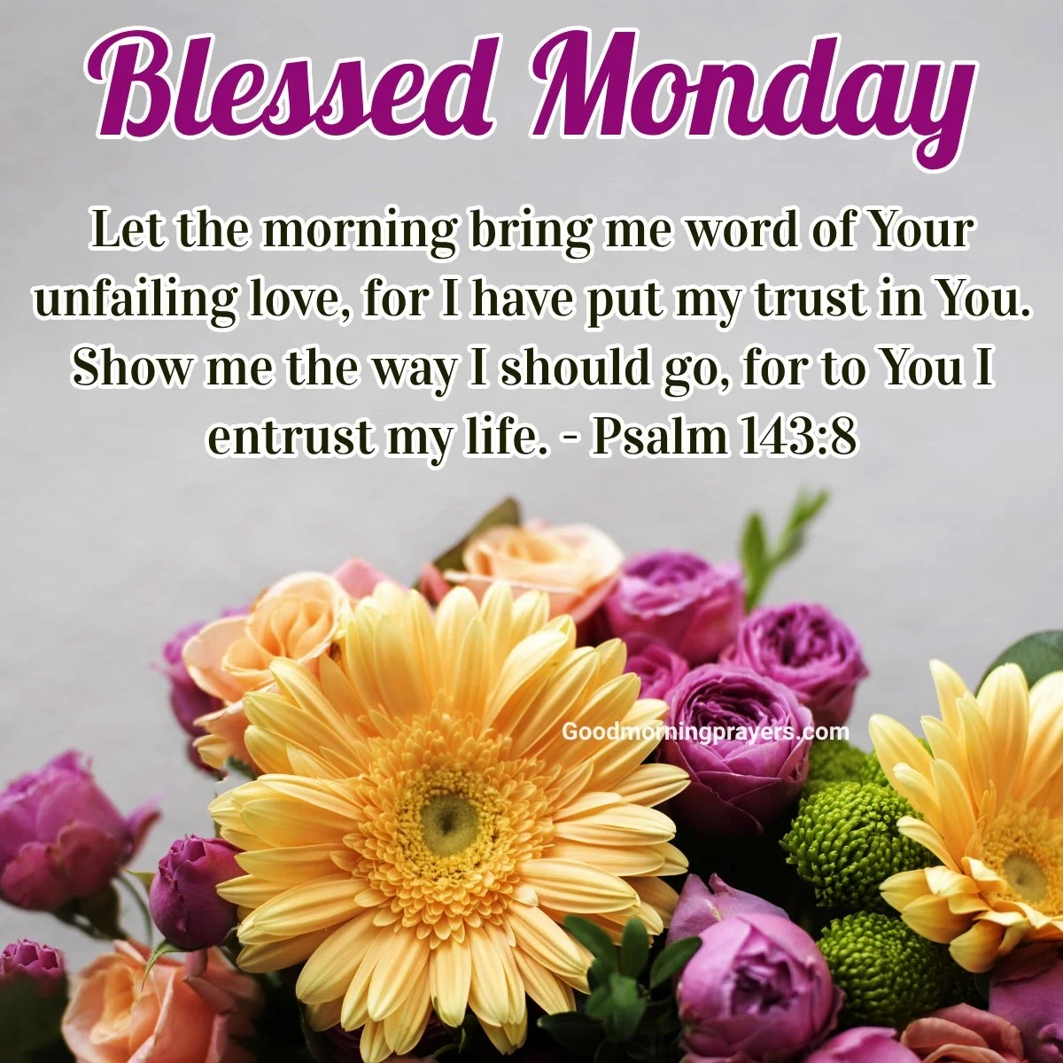 Blessed Monday Morning Prayers Bible Verses Uplifting GIFs To Start Your Week Good Morning Prayers