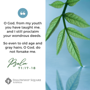 Blog Post Fellowship Square Surprise Shares Bible Verses For Seniors Celebrating The Wisdom Of Age Celebrate Life s Milestones With These Verses
