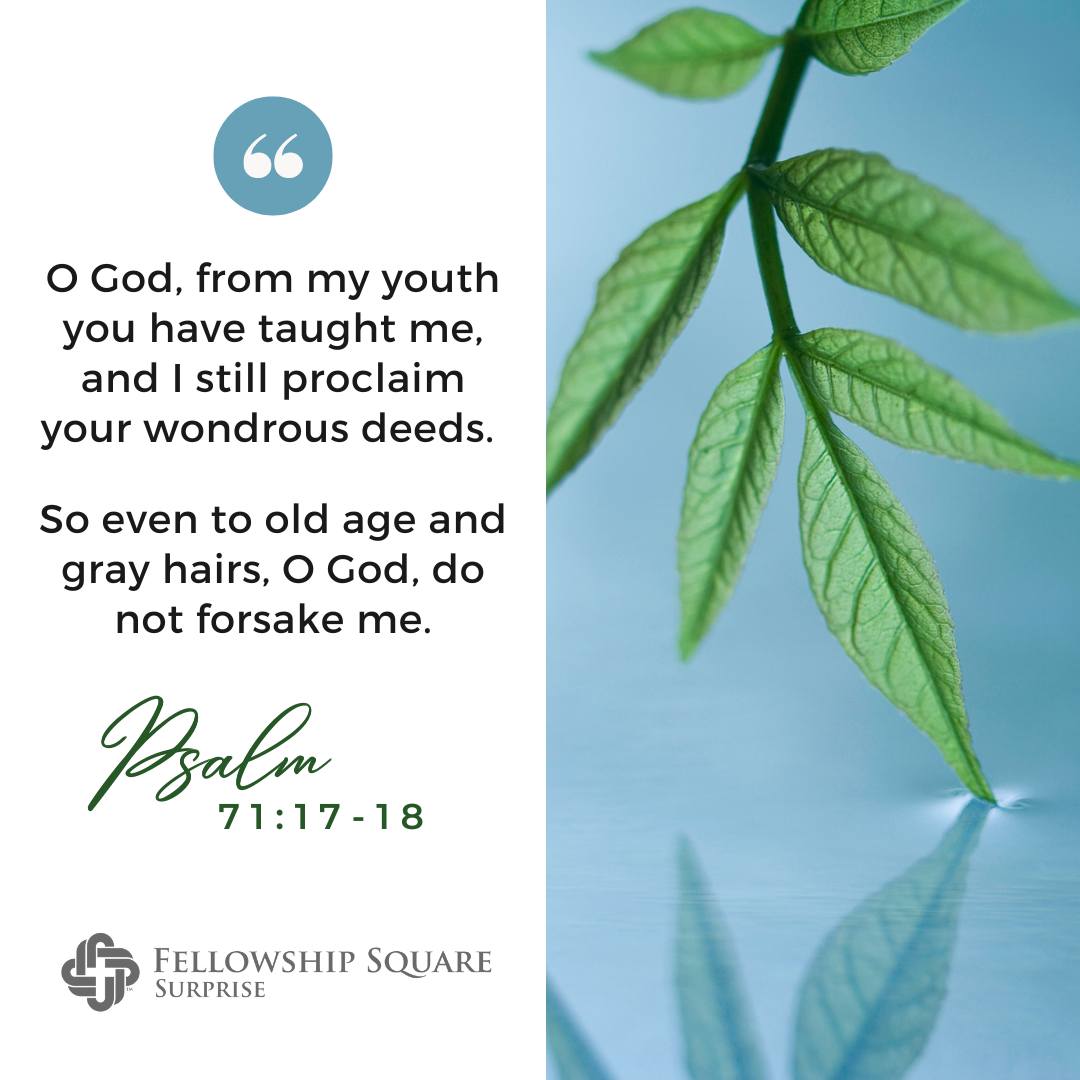 Blog Post Fellowship Square Surprise Shares Bible Verses For Seniors Celebrating The Wisdom Of Age Celebrate Life s Milestones With These Verses 
