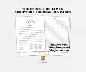 Book Of James Scripture Journal Pages Double Spaced Single Column Annotating Sheets Inductive Expository Bible Study By The Book Method Etsy
