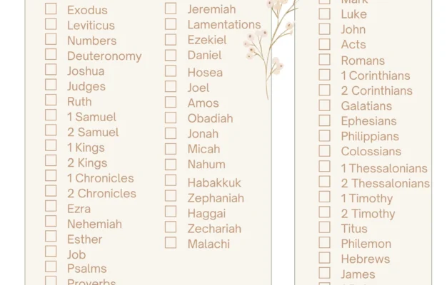 Books Of The Bible Checklist Bible Study Printable PDF Etsy
