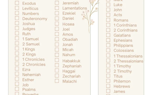 Books Of The Bible Checklist Bible Study Printable PDF Etsy