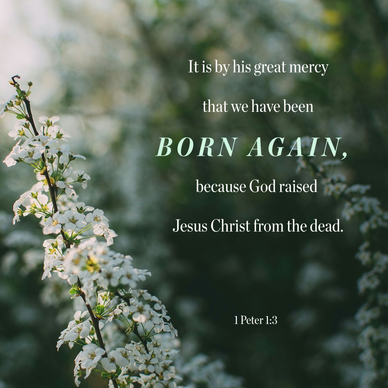 Born Again To Live Again It s A God Thing 