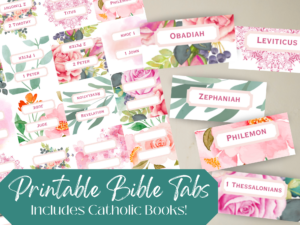 Catholic Bible Tabs For Bible Journaling Digital Download Printable Bible Tabs DIY Pink Peter s Square