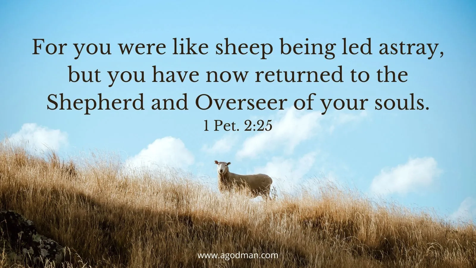 Bible Quotes About Shepherds