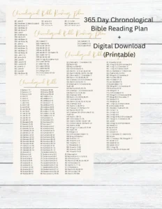 Chronological Bible Reading Plan 365 Day Tracker printable PDF Etsy