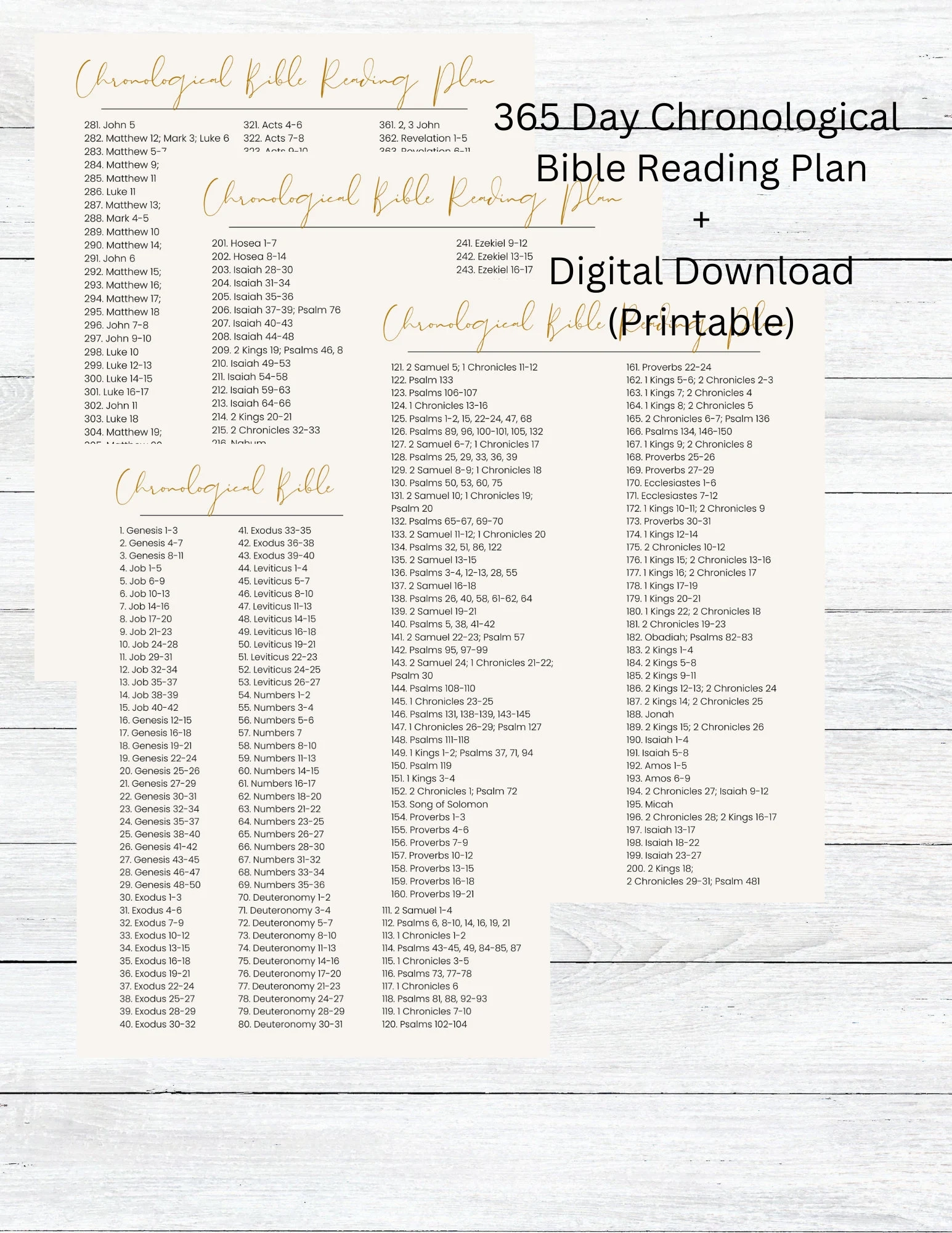 Bible Chronological Reading Plan Printable