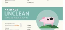 Clean Unclean Meats Infographic