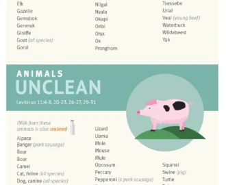 Clean Unclean Meats Infographic