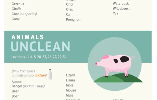 Clean Unclean Meats Infographic
