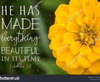 Close Yellow Zinnia Flower Ecclesiastes 311 Stock Photo 2053883720 Shutterstock
