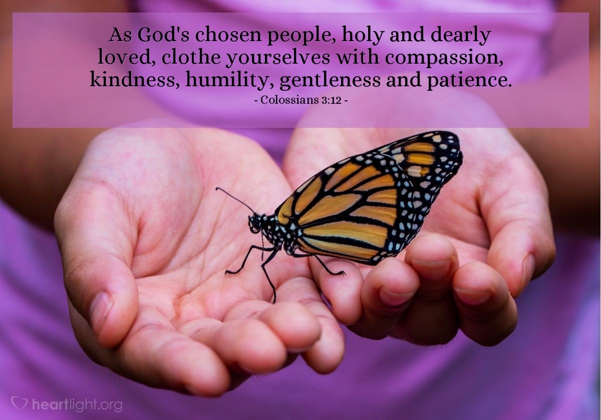 Compassion Quotes Bible