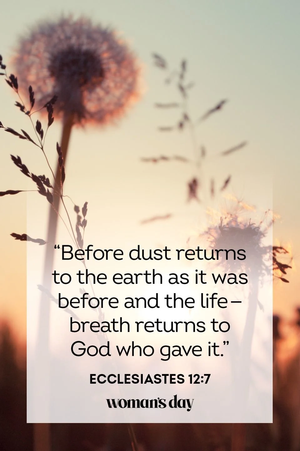 Bible Quotes About Death And Loss