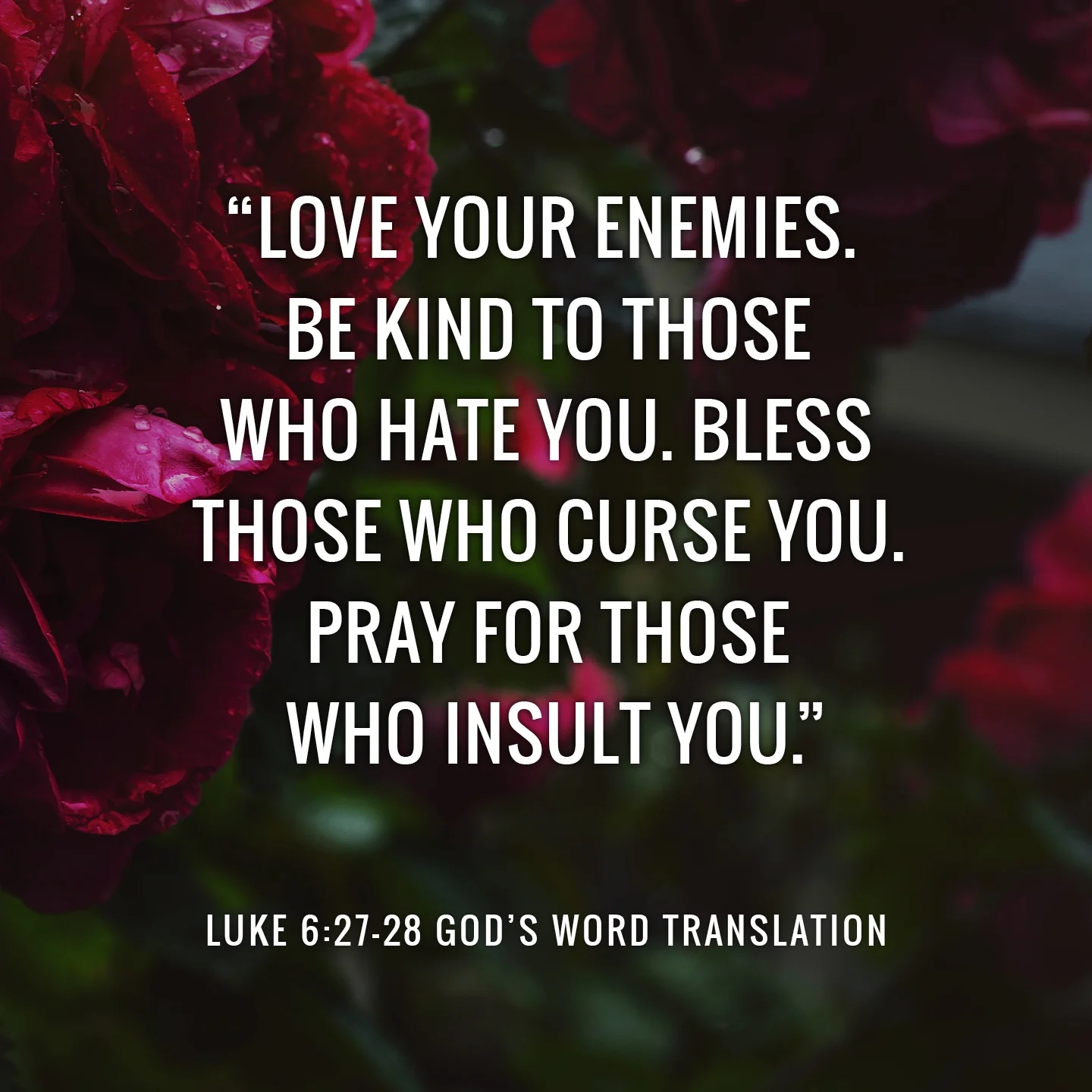 Bible Quotes For Enemies