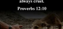 Compassion For Animals You ve Got A Friend