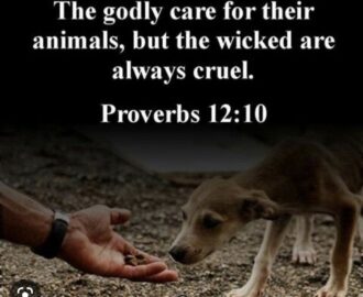 Compassion For Animals You ve Got A Friend