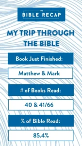 Complete The Bible Recap Celebrate Your Bible Reading Journey The Bible Recap