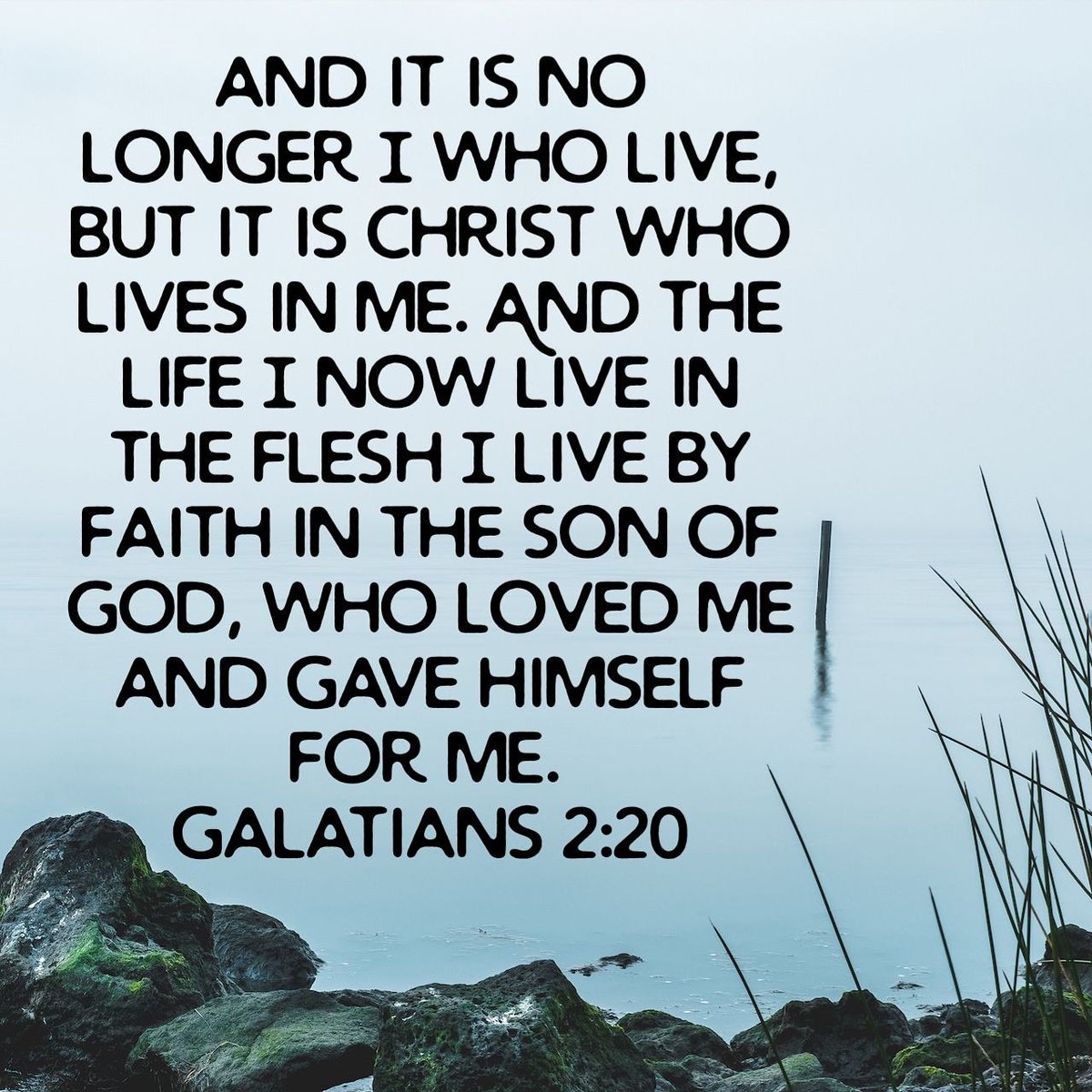 Daily Catholic Bible Verse Recollection DailyCatholicBibleVerse DailyDevotional SaturdayDevotional SaturdayWithJesus SaturdayWithGod Https t co VLIc3WYp0R
