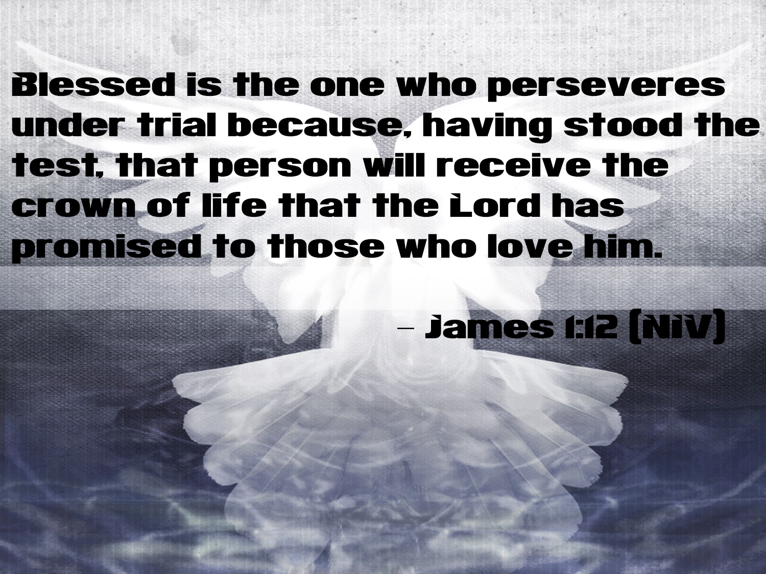 Daily Bible Inspirational Quotes