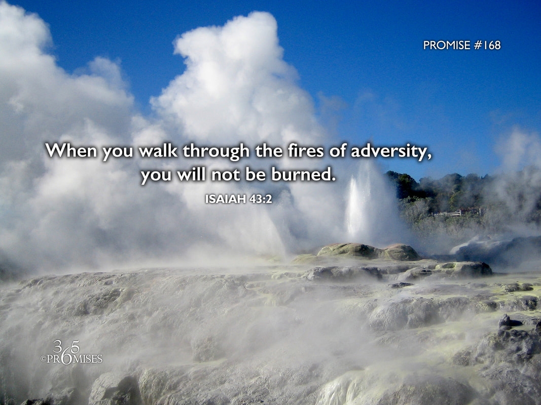 Bible Quotes About Adversity
