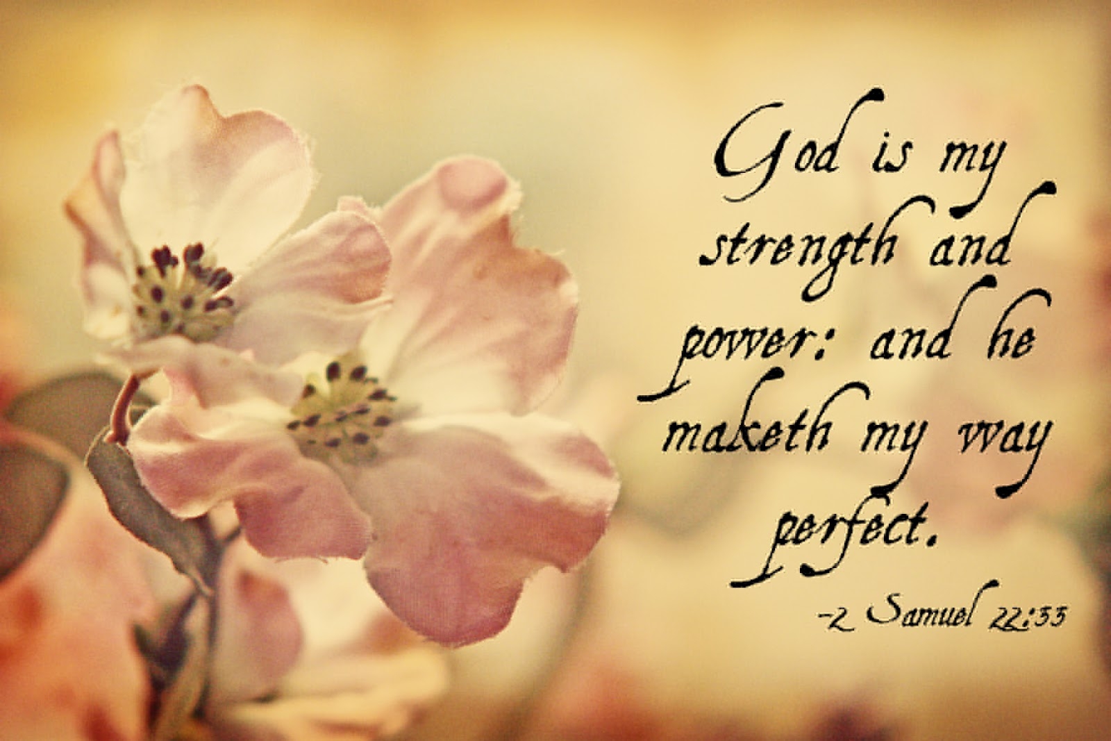 Daily Religious Quotes QuotesGram
