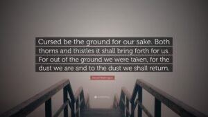 Denzel Washington Quote Cursed Be The Ground For Our Sake Both Thorns And Thistles It Shall Bring Forth For Us For Out Of The Ground We Were